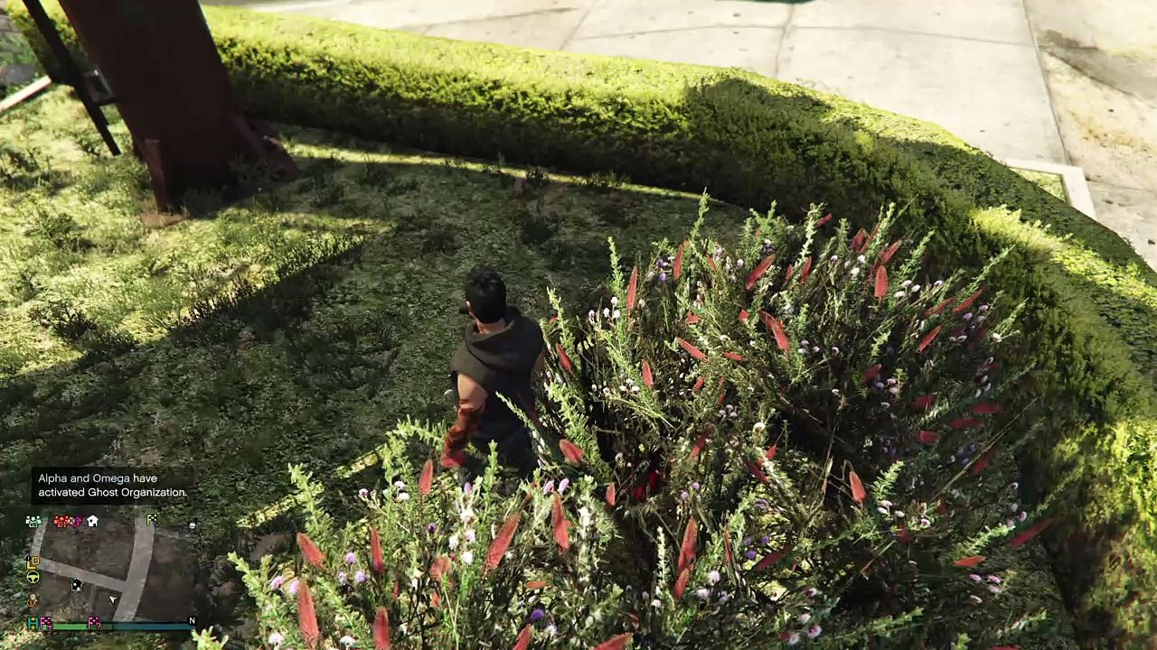 Grand Theft Auto V_20180411153918