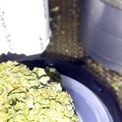 Order cannabis oil for cancer treatment, https://mariguanaheadshop.com,  Cannabis oil for cancer cure, buy cannabis oil online, where to buy rick simpson oil online, cannabis oil for curing cancer, how to cure cancer