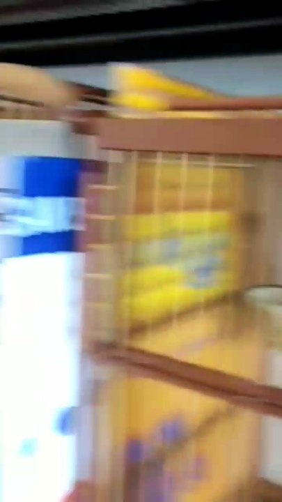 19 trinca branco top demais