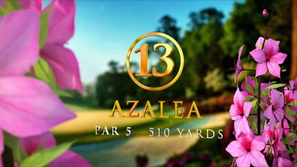 Tiger Woods' Final Round in Under Three Minutes