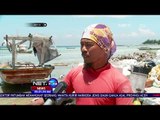 Sempat Terkena Tumpahan Minyak, Pulau Pari Masih Ramai Pengunjung -NET24