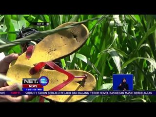 Bakar Diri Sekeluarga, Pelaku Masih Dirawat Intensif Di RS  -NET12