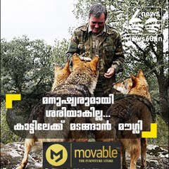 മനുഷ്യരുമായി ശരിയാകില്ല...കാട്ടിലേക്ക് മടങ്ങാന്‍ മൗഗ്ലി