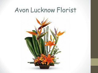 Send Flowers to Lucknow | Florist Lucknow
