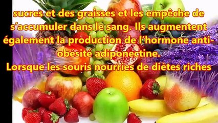 Bienfaits des anthocyanines pour la santé