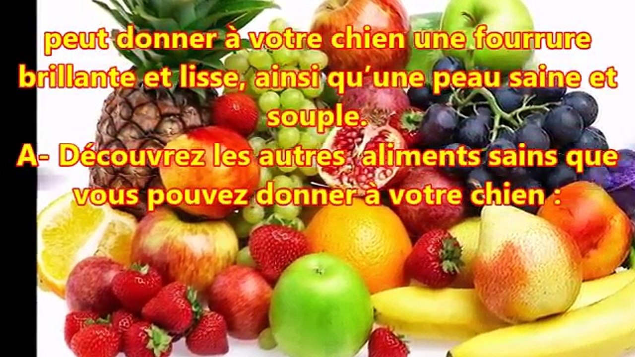 Les aliments sains et les aliments toxiques pour les chiens