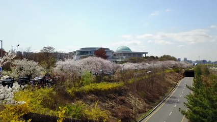 [날씨] 내일 공기 깨끗, 따뜻...밤에 제주부터 비 / YTN
