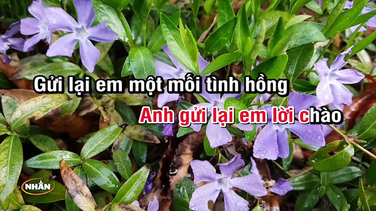 Tình Nhỏ Mau Quên (Karaoke Beat) - Tone Nữ