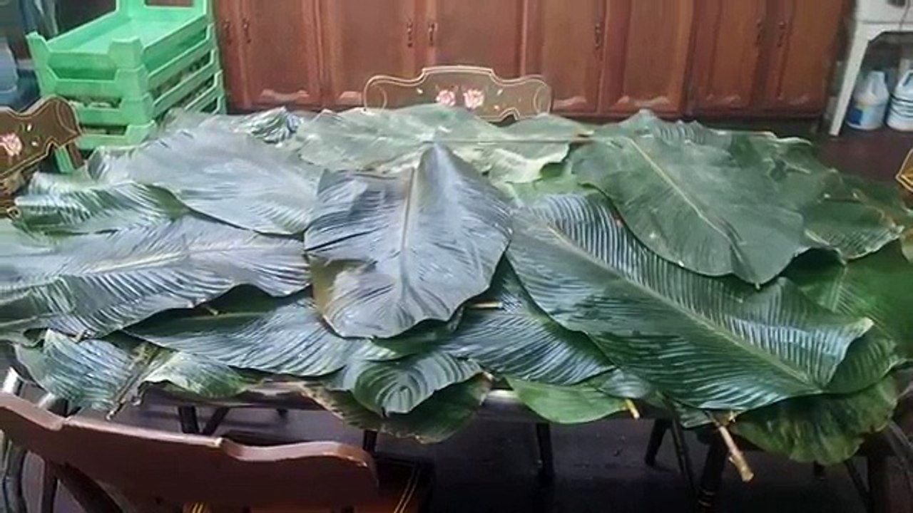 How to Make African Black Soap Ash