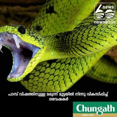 പാമ്പ് വിഷത്തിന് മരുന്ന് മുട്ടയില്‍...!!!