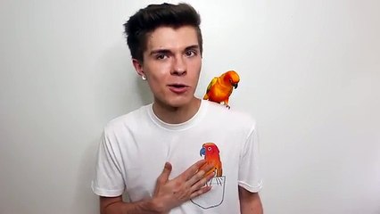 Releasing Merch and Helping Homeless Animals! *Limited Time*