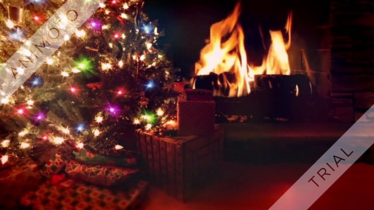 Jim Giovinazzo || Jim Giovinazzo Vincent