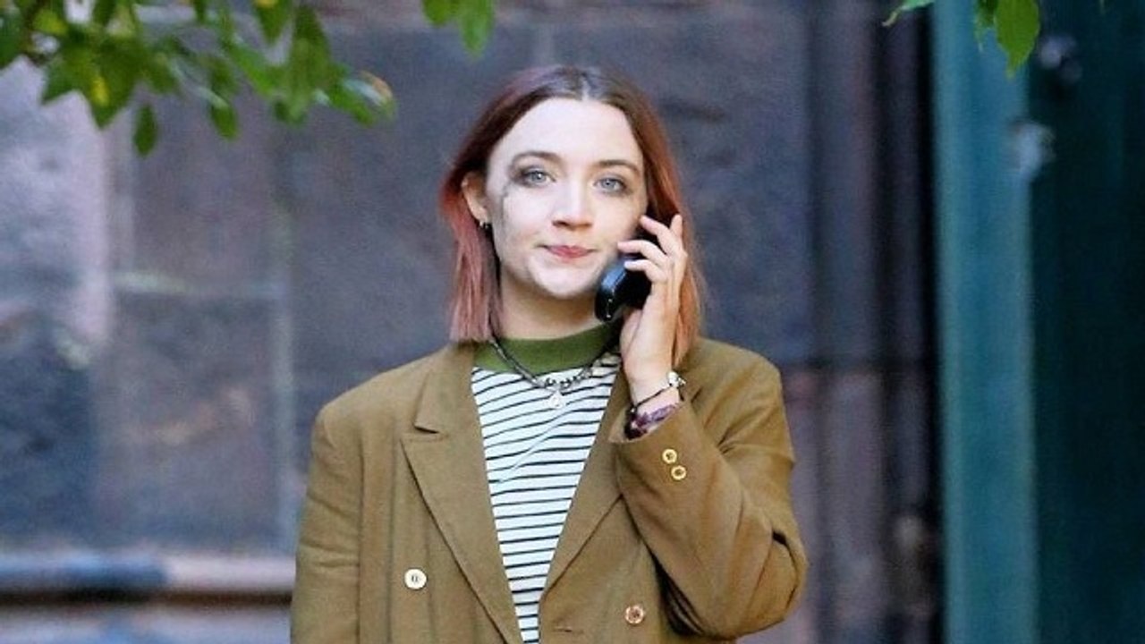 Watch Lady Bird (2017) video Dailymotion