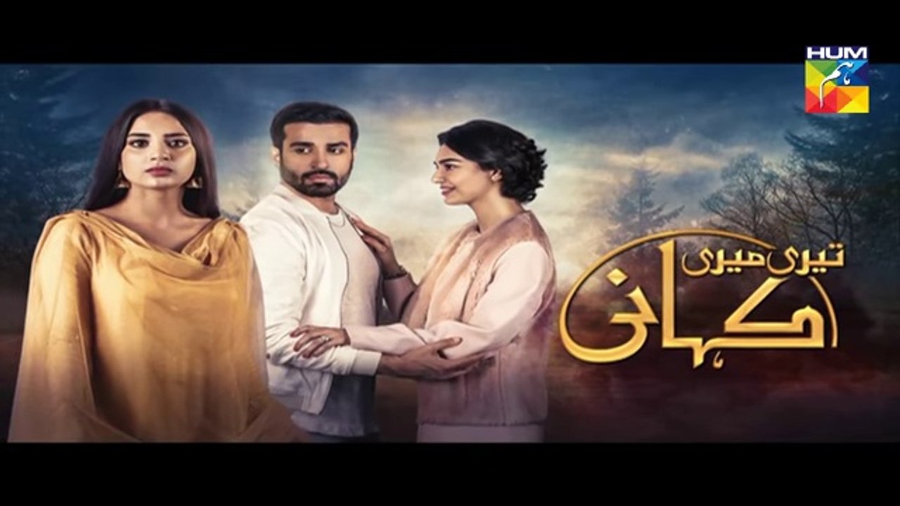 Teri Meri Kahani Episode #16 Promo HUM TV Drama - dailymotion