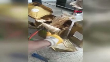 Gaziantep-Kargodaki Bal Kutularında 61 Buçuk Kilo Eroin Çıktı