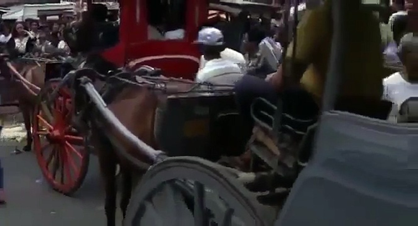 Sweet Revenge 1987 Action, Adventure, Drama R part 1/4