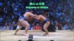 Sumo Digest[Nagoya Basho 2017 Day 03, July 11th]20170711名古屋場所3日目大相撲ダイジェスト