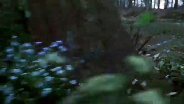 Emmerdale 13th April 2018, Emmerdale 13th April 2018, Emmerdale 13th April 2018, Emmerdale 13th April 2018