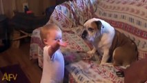 This adorable baby is having an argument... with a dog! - Vidéo dailymotion