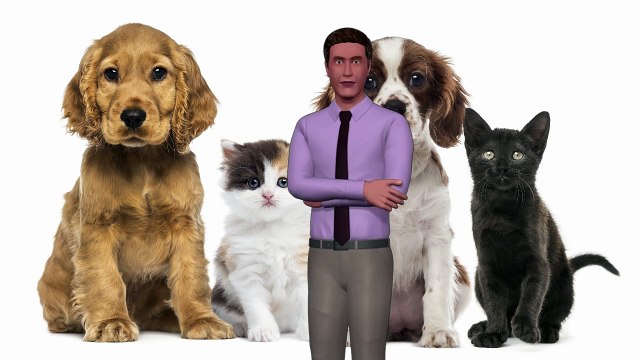 15 Consejos y Trucos Para Tus Mascotas