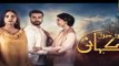 Teri Meri Kahani Episode #16 HUM TV Drama 12 April 2018 - dailymotion