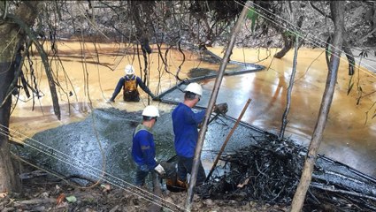 Oil Spill Damages Colombia's Ecosystems