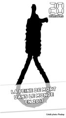 La peine de mort dans le monde en 2017