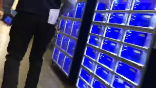 A Quick Glimpse At Walmarts Ammo Room