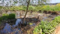 Bursa Orhangazi Atık Su Arıtma Tesisleri Yanı