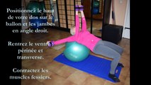 Renforcement musculaire des pectoraux et des  fessiers