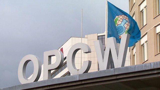 Дело Скрипалей: ОЗХО подтверждает выводы Лондона