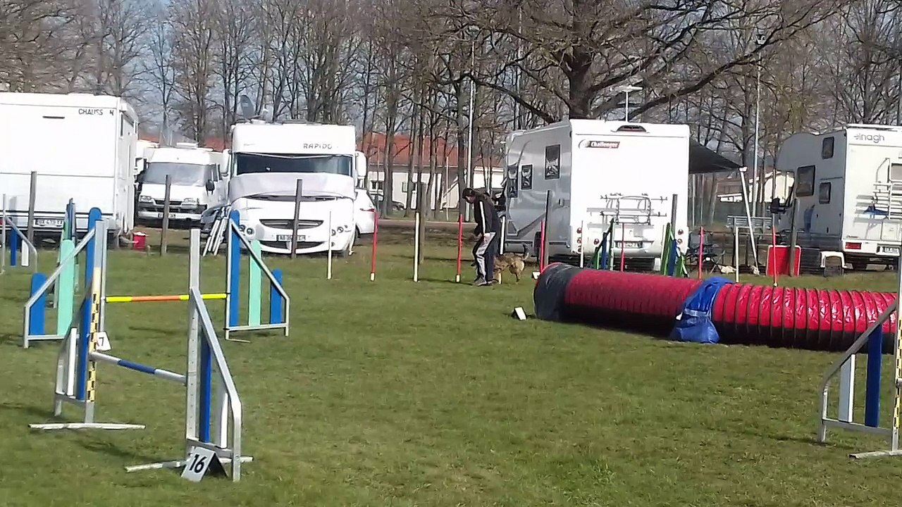 20180325_154603_Montrond-les-Bains_agility_jump-stand-B_Lilas