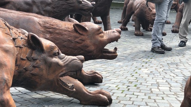 Les loups sont arrivés au bout du monde