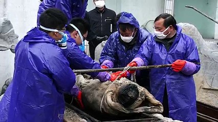 10 Bizarre Discoveries in China