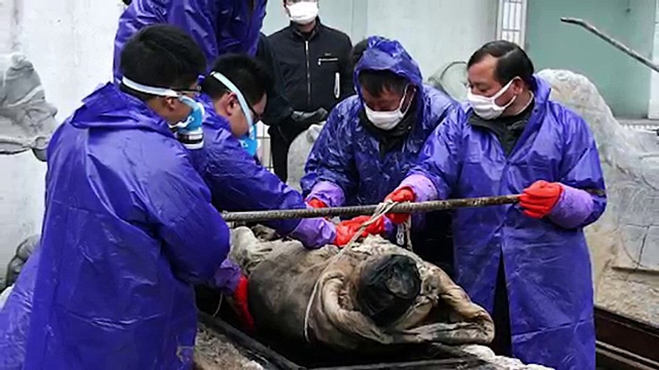 10 Bizarre Discoveries in China