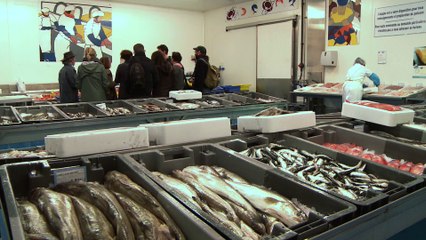 JT breton du jeudi 12 avril 2018 : les langoustiniers mettent cap à l’est