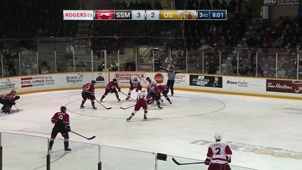 OHL Sault Ste. Marie Greyhounds - Howdeshell goes bardown