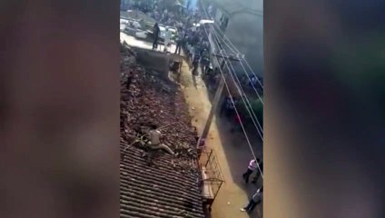 Salta de techo para escapar del ataque de leopardo