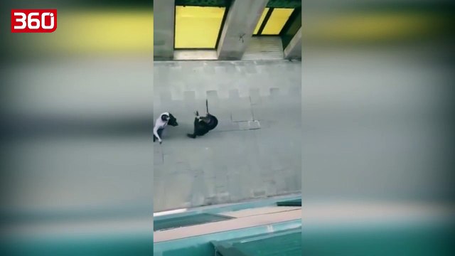 Pamje shokuese/ Zënkë me thika e hanxhar në rrugët e Spanjës, banorët në shok (360video)