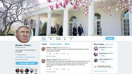 Frappes en Syrie:Trump et Macron entretiennent le flou