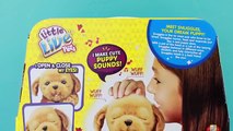 Little Live Pets Snuggles Interive Puppy Stuffed Animal