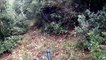 Κυνήγι Αγριογούρουνου (επιθεση καπρου) Κωνσταντός- Wild Boar Hunting (Boar Attack) 1:44 The Attack