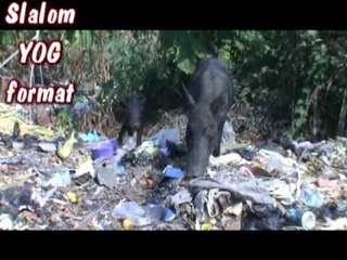 Canoe Slalom Development Camp | Togo 2012