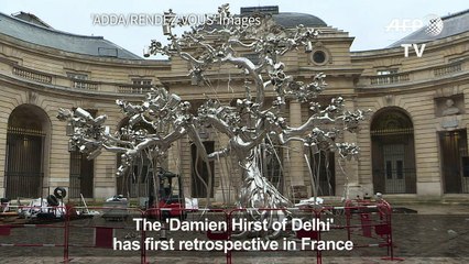 Paris opens retrospective on Indian art superstar Subodh Gupta