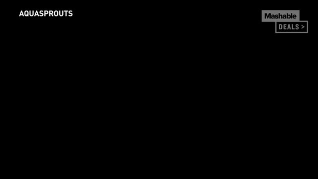 Impress your dinner guests with this self-sustaining aquarium that can grow food