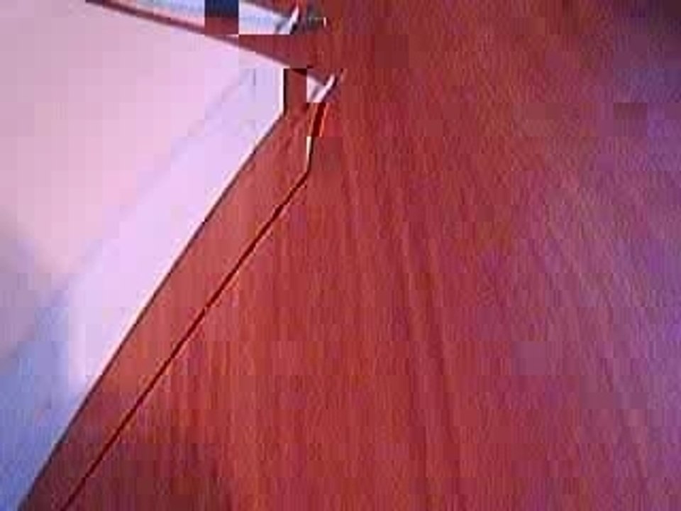 Webcam 1196631241618