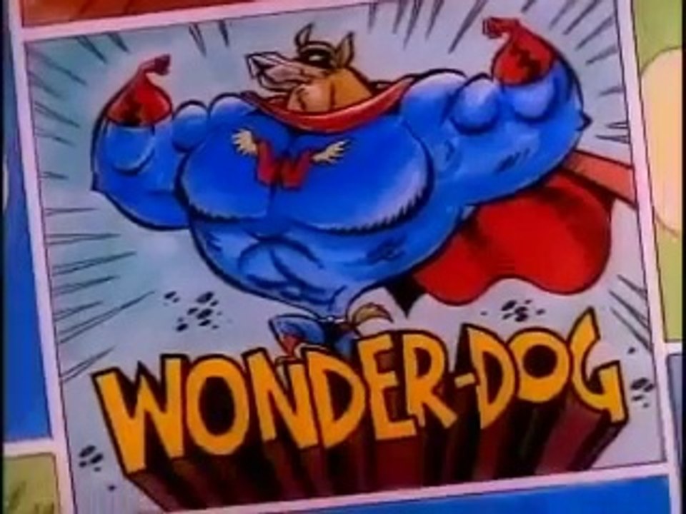 Wonder Dog!