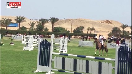 انطلاق البطولة الدولية للفروسية بسهل حشيش بمشاركة 150 جوادا