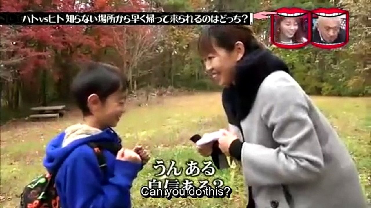 Humans vs Homing Pigeons