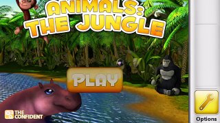 Baby Learn Animals - Help Kids Learn & Explore the African Jungles Animals - Educational Lesson